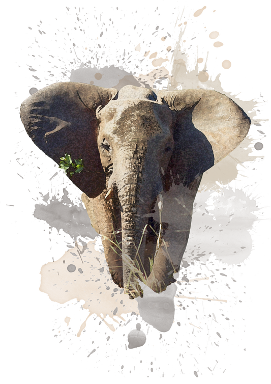 African Elephant - Digital Watercolour Print