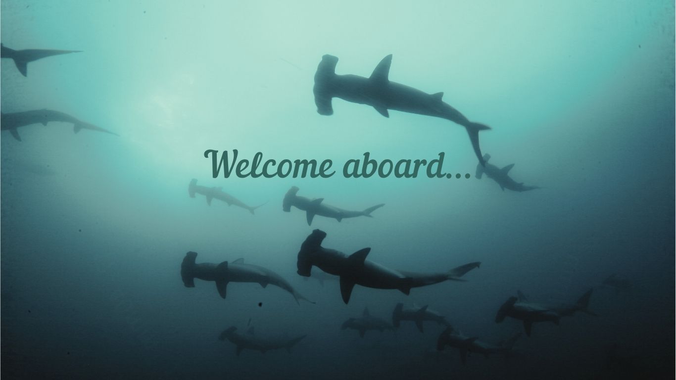 Silhouettes of hammerhead sharks swimming in the ocean with 'Welcome aboard' text.