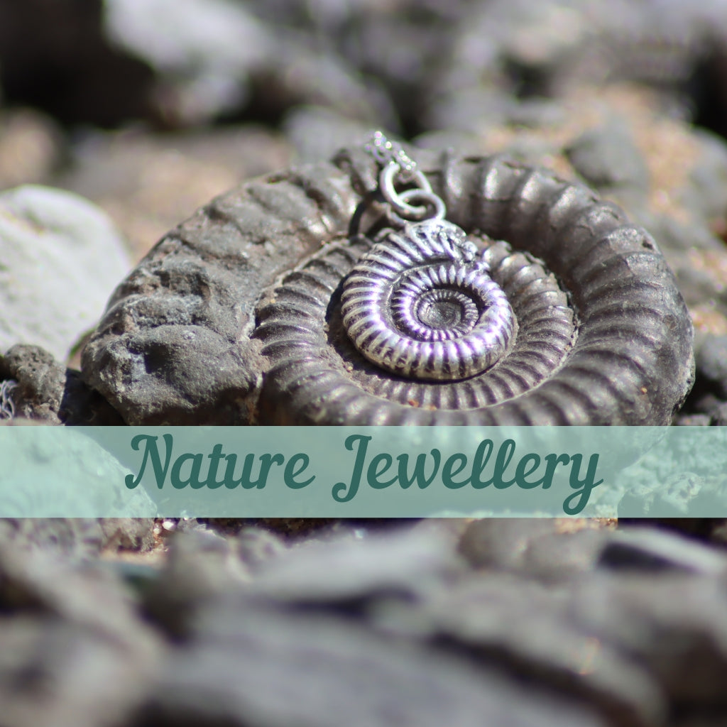 Ammonite with silver ammonite on top and text saying nature jewellery