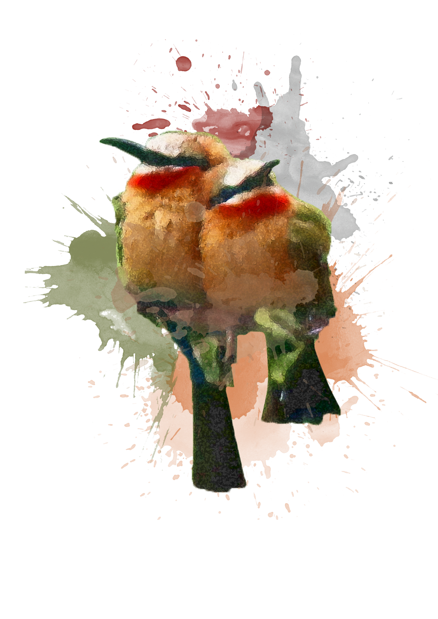 White Fronted Bee Eater - Digital Watercolour Print