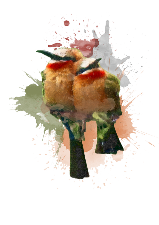 White Fronted Bee Eater - Digital Watercolour Print
