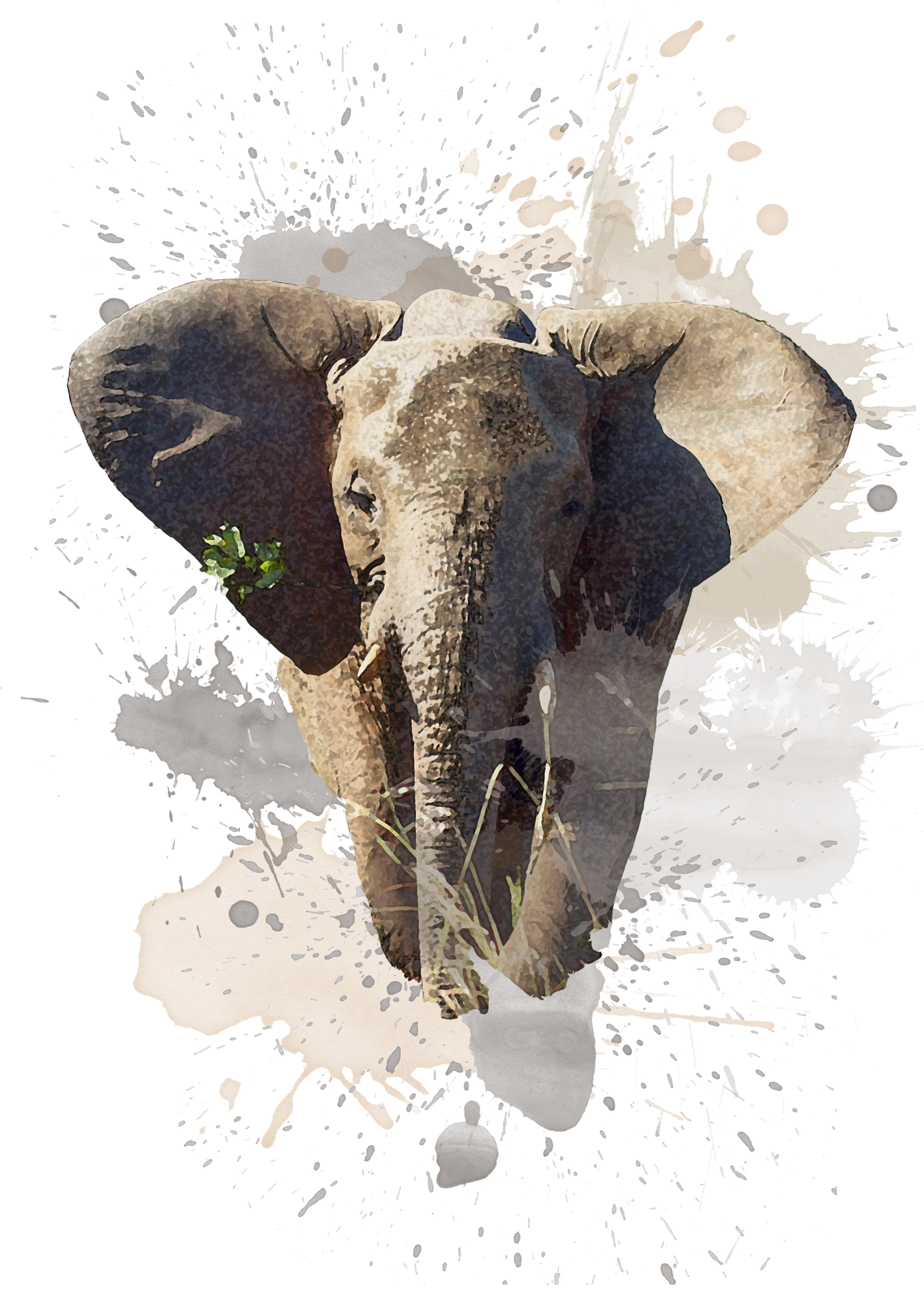 African Elephant - Digital Watercolour Print