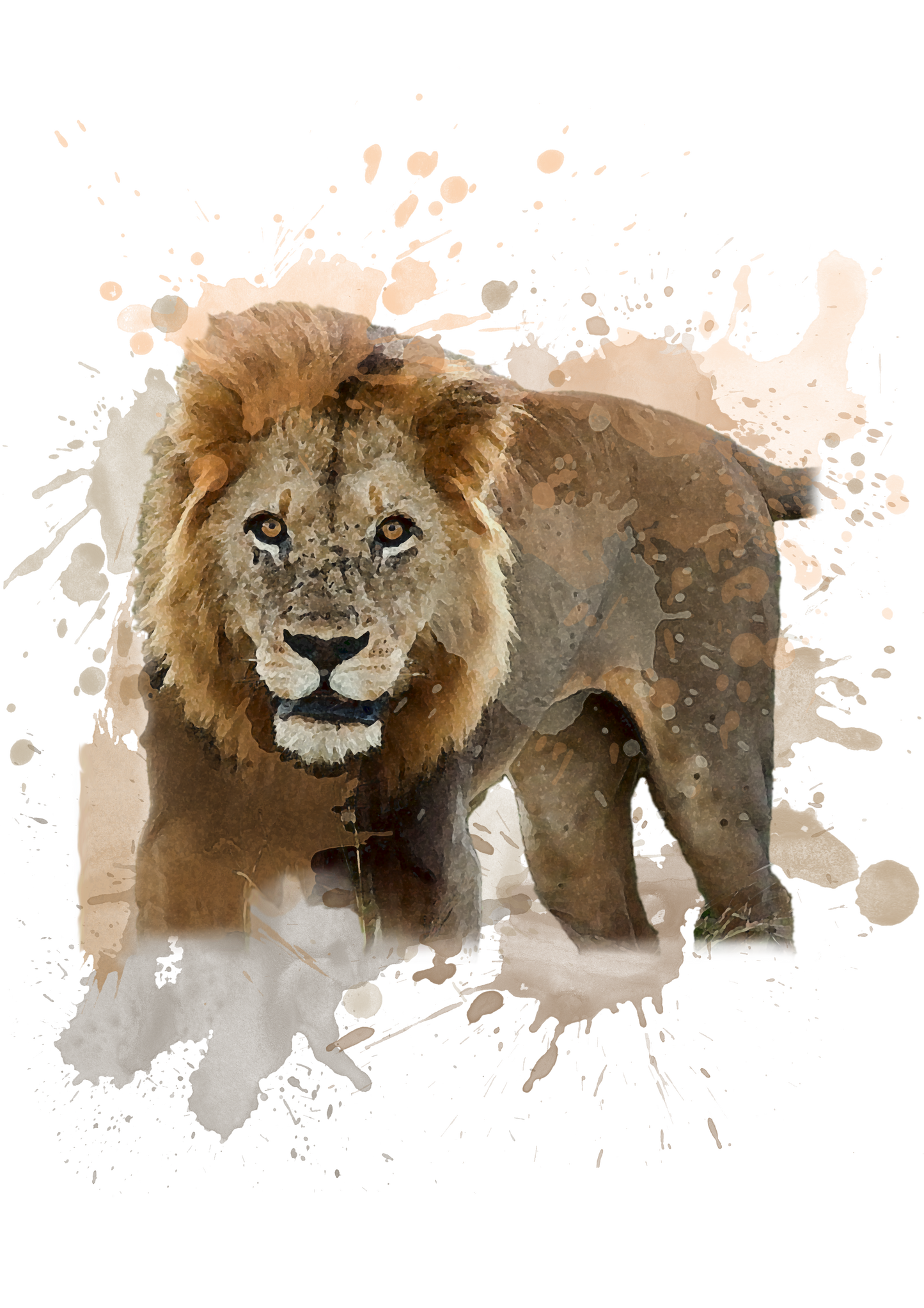 African Lion - Digital Watercolour Print