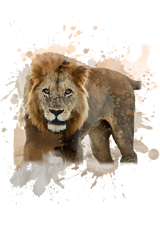 African Lion - Digital Watercolour Print