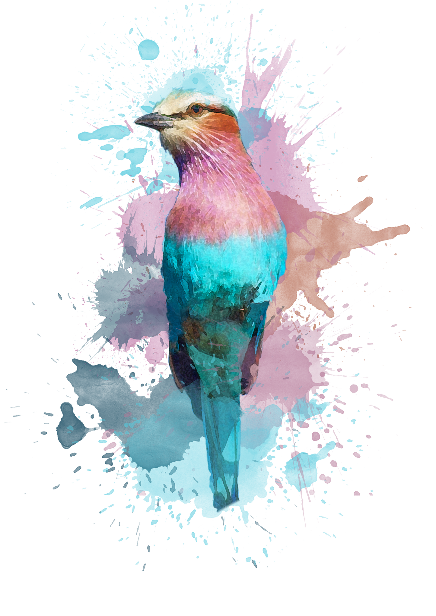 Lilac Breasted Roller - Digital Watercolour Print