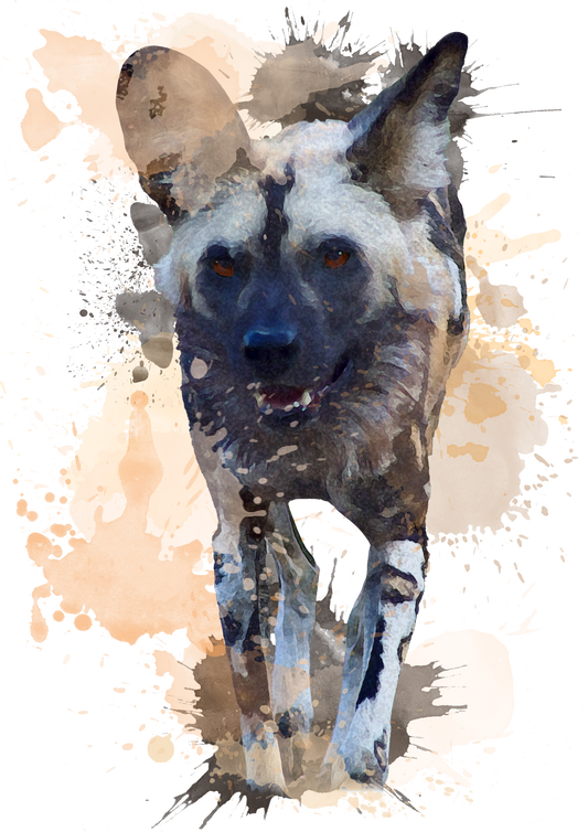 African Wild Dog - Digital Watercolour Print
